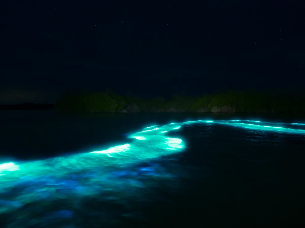 Blue-green bioluminescence glowing in a boat's wake at night