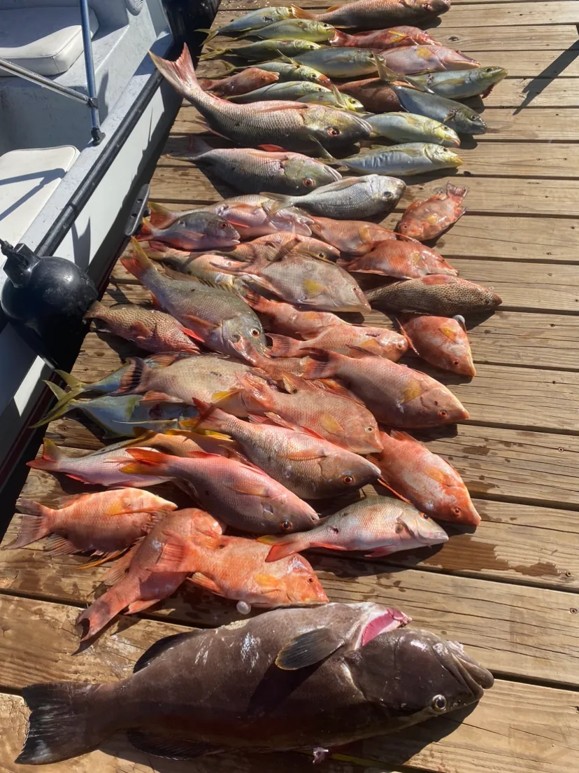 A day's catch laid out on the dock